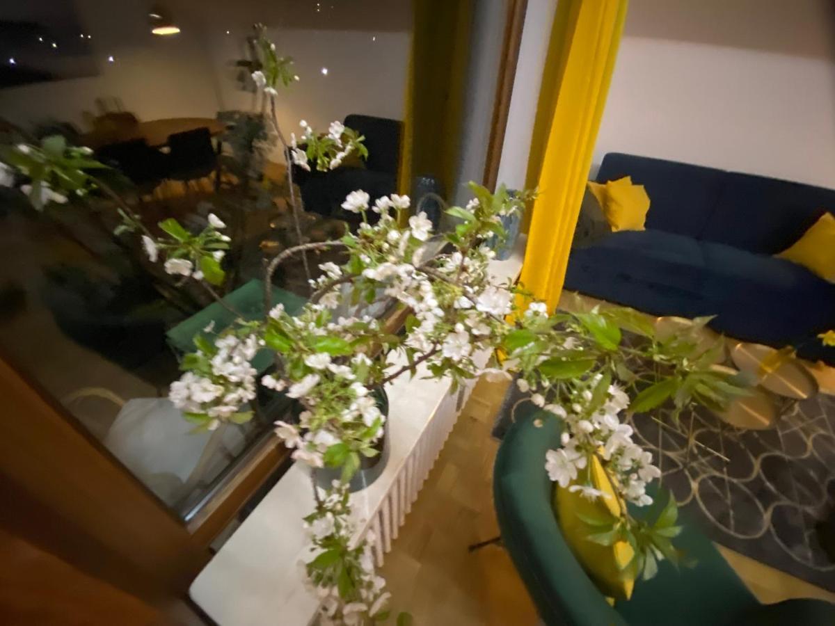 Ferienwohnung Panoramablick - Alpenmagie Suites Обераудорф Экстерьер фото